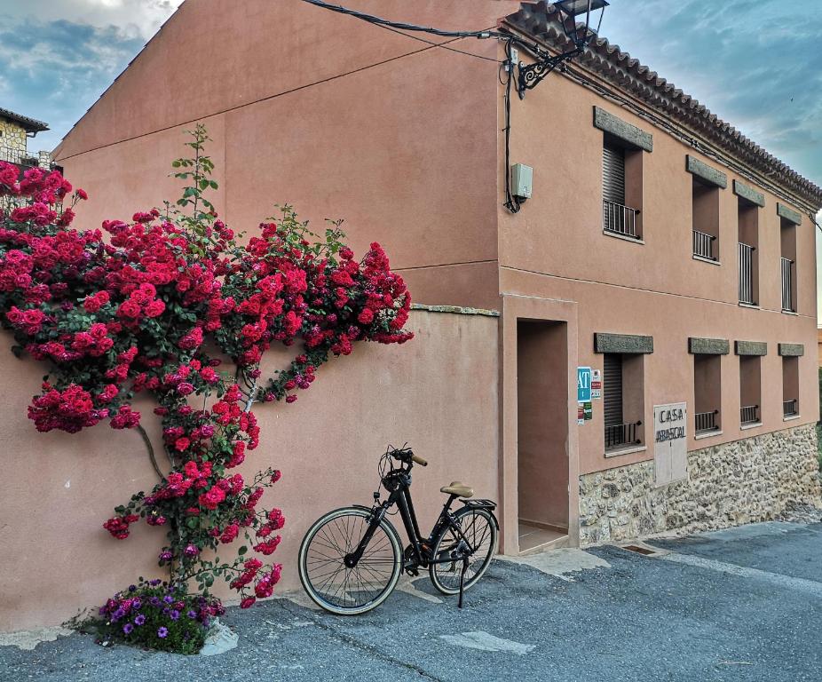 Jízda na kole v ubytování Casa rural Abascal nebo okolí