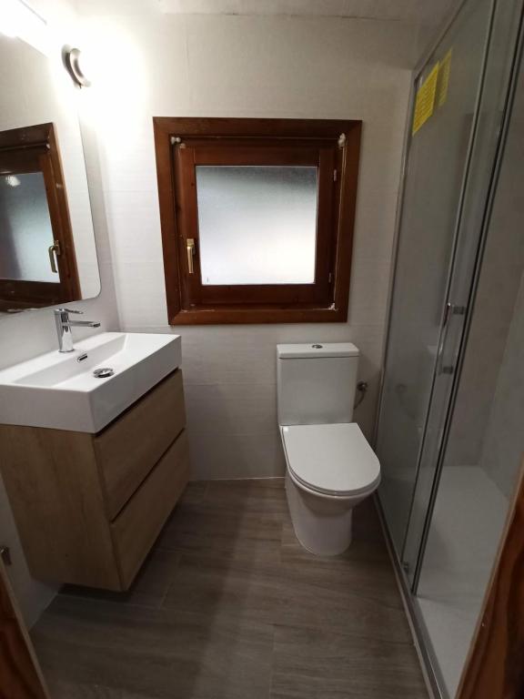 ein Bad mit einem WC, einem Waschbecken und einer Dusche in der Unterkunft Aras Biescas in Biescas