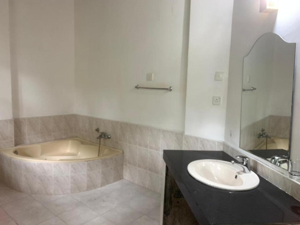 a bathroom with a sink and a bath tub at The Blue Heron Villa in Kandy