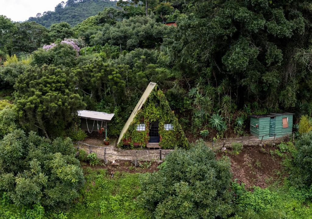 Earth Lodge
