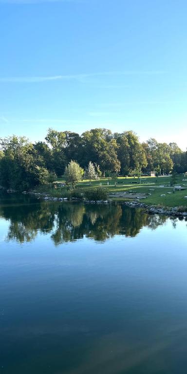 a view of a lake with trees in the background at Urban Apartment for Erasmus Student, Zentrum in Graz
