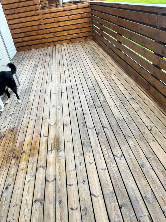 Kirjuvekkir8a في هافنارفيوردور: كلب أسود يمشي على سطح خشبي