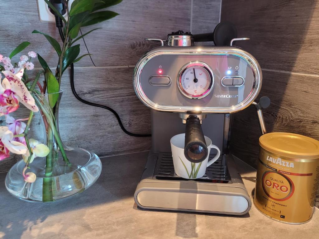 Apartament LILLA - 13