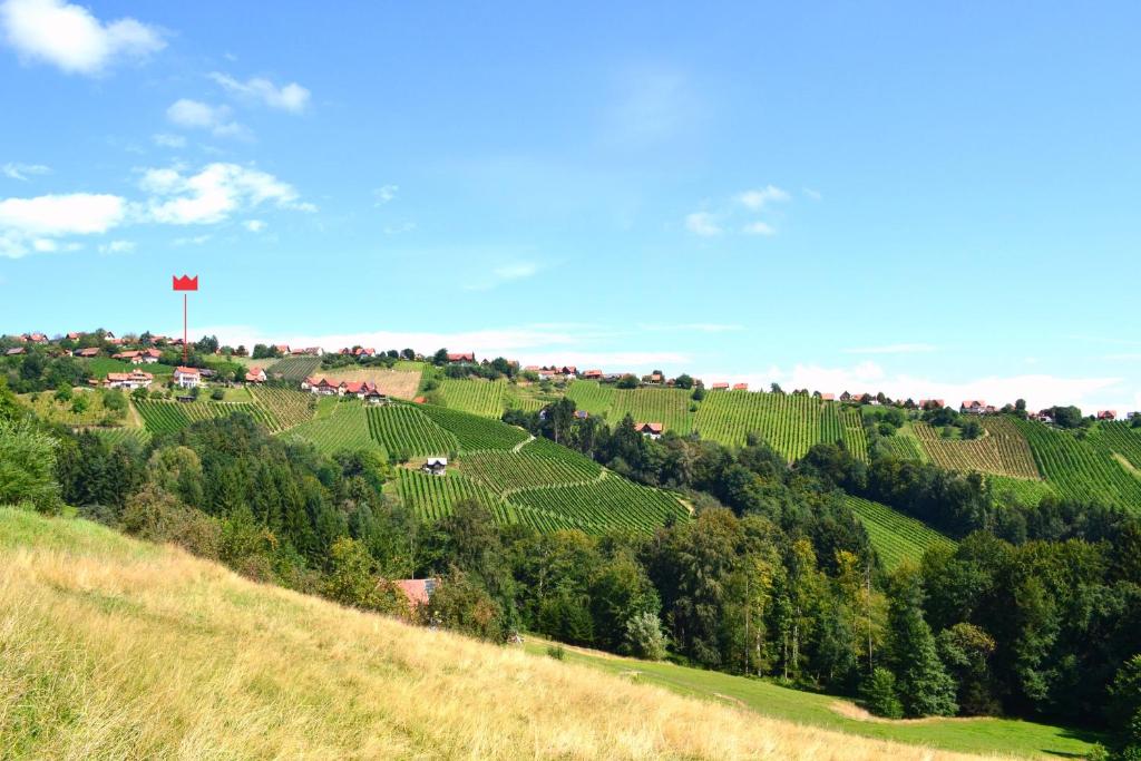 een groene heuvel met een rode vlag erop bij Schilcher-Residenz in Steinreib