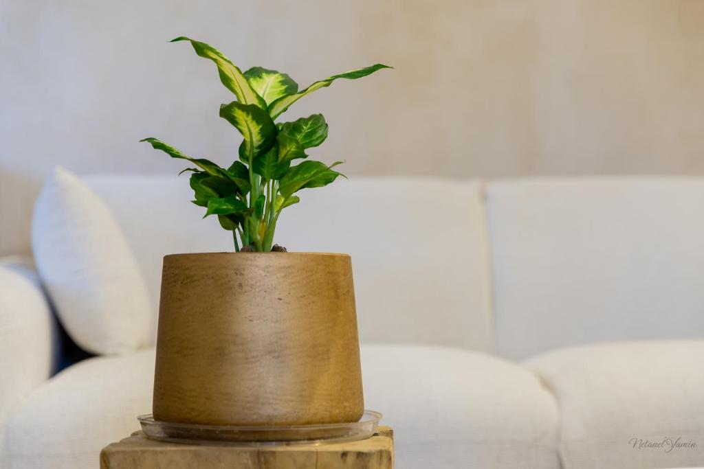 Posezení v ubytování Hagafen Boutique Suites