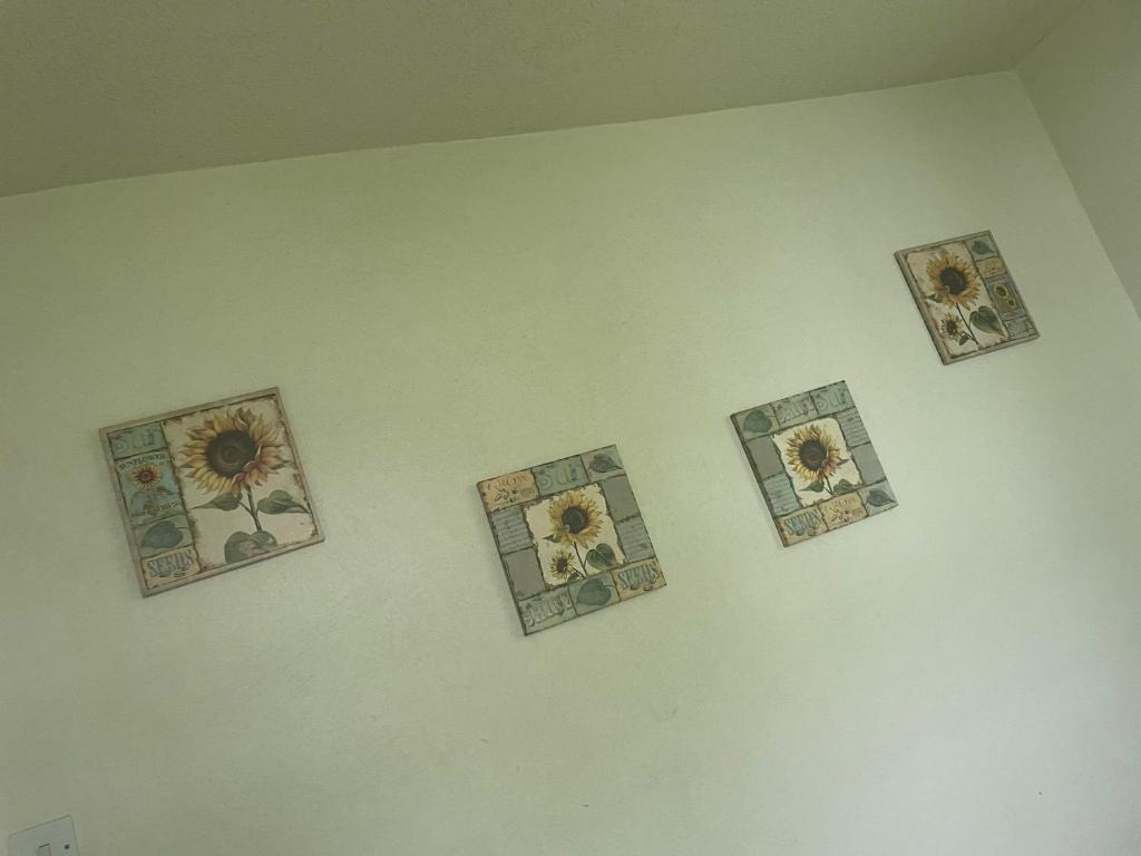 four pictures of sunflowers on a white wall at Eastside Living "The Sunflower" in Saint Philip