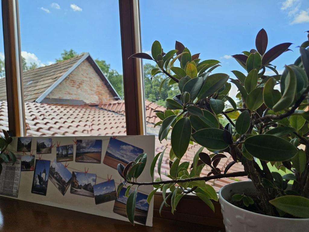 Fotografie z fotogalerie ubytování Penzion pod Krivanom v destinaci Liptovský Hrádok