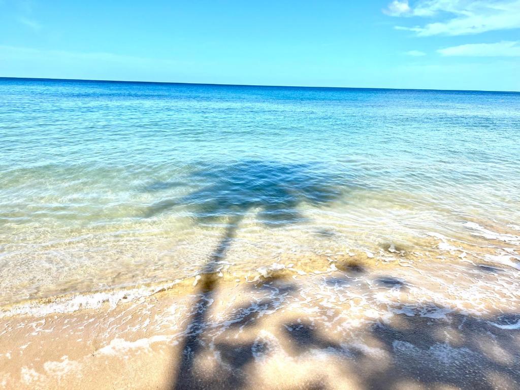 Rincon Retreat, Close to beach/ Ocean Front, Corcega (updated prices 2024)