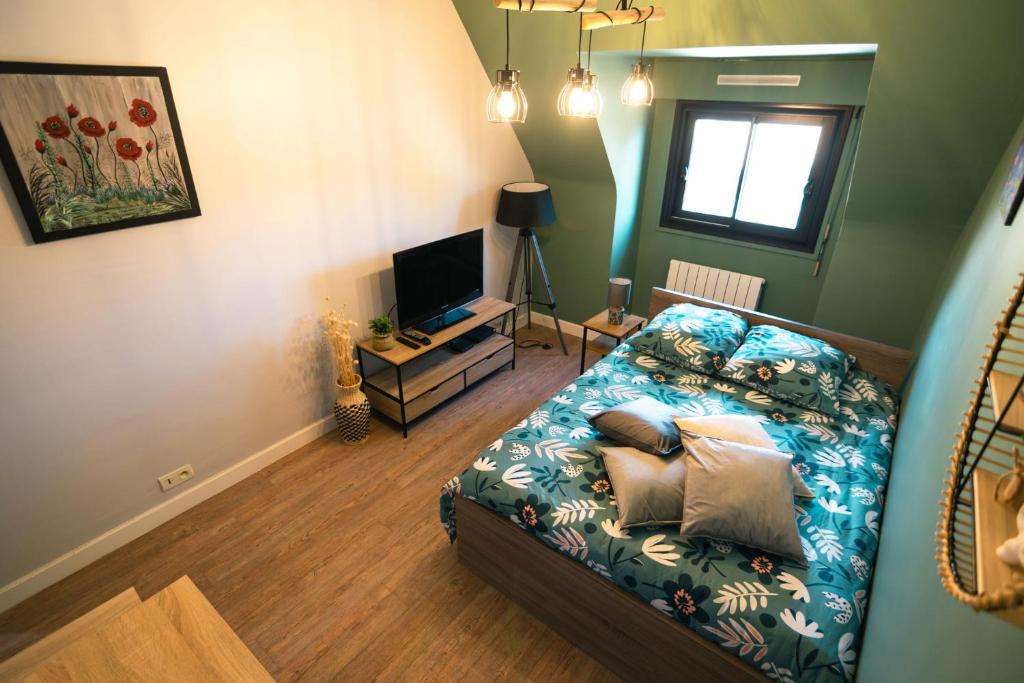 Dormitorio pequeño con cama y TV en Green cosy, en Louviers