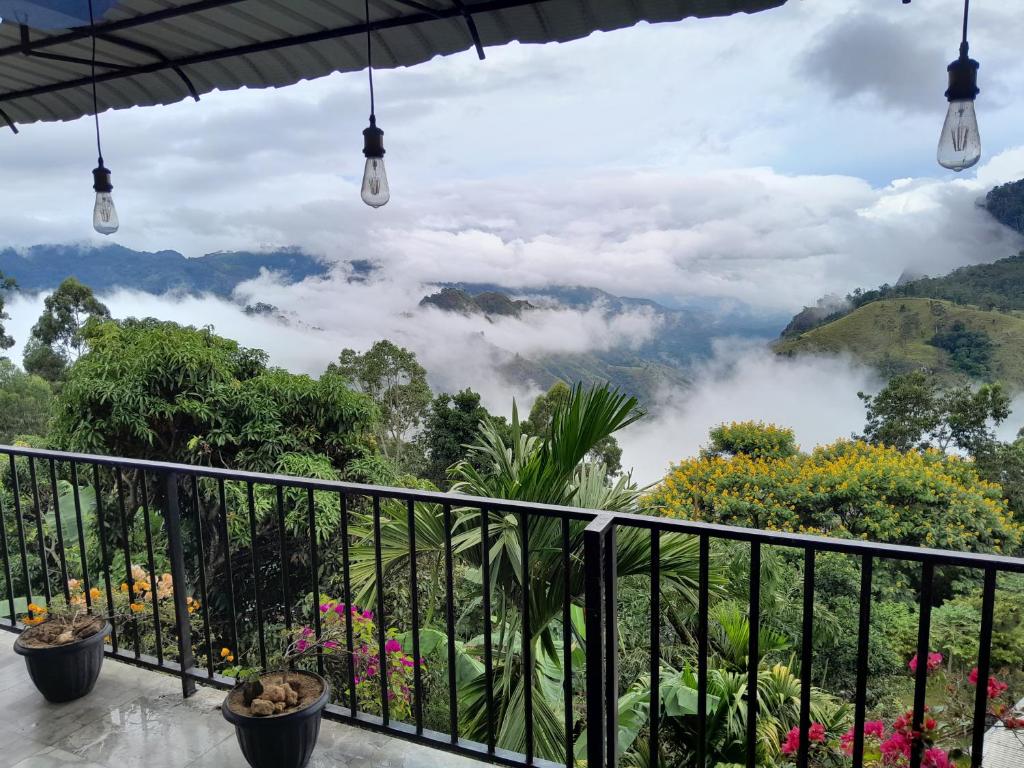 Golden View Guest Ella - 10