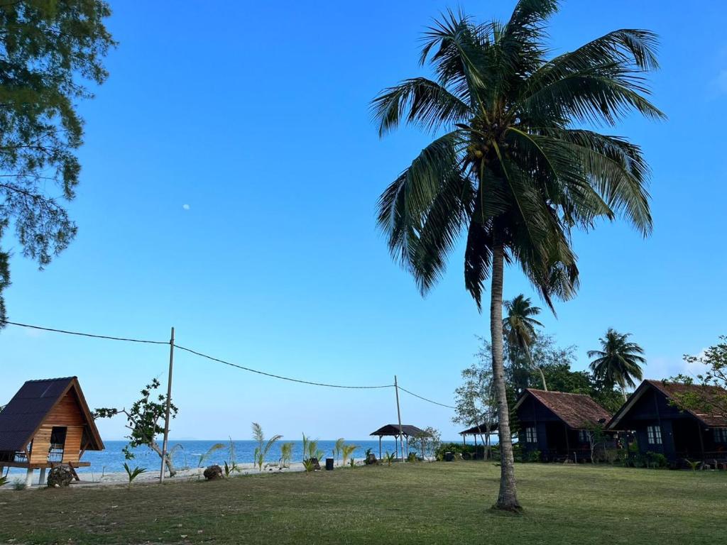 a palm tree in front of a beach with houses at ALUN ALUN ISLAND RESORT in Kampong Atap Zing
