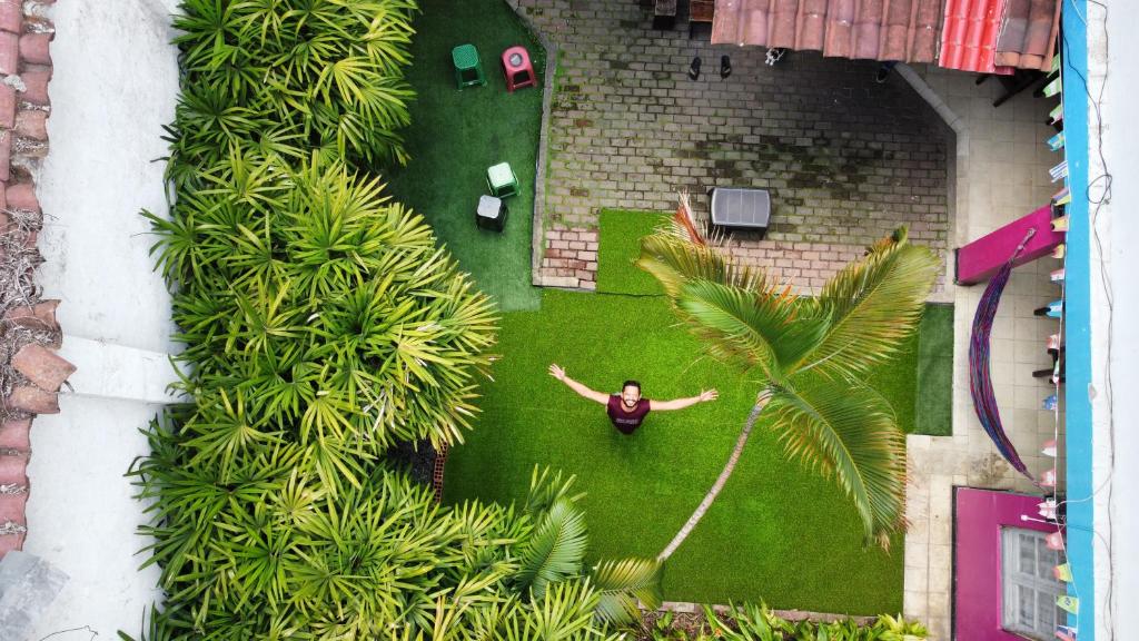 an aerial view of a man standing in a garden at The Pelican Larry Hostel in Cali