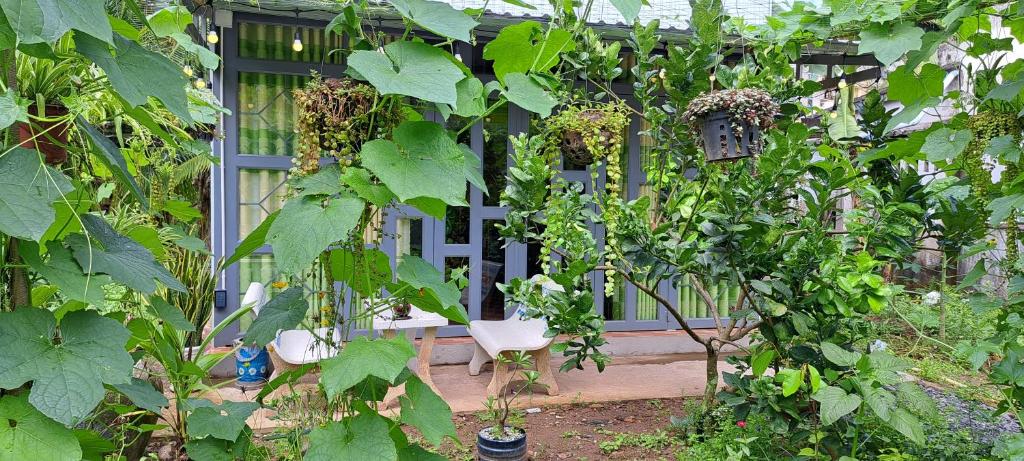 Coco Happy Farm - 15