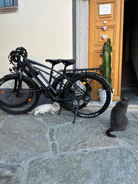 Jízda na kole v ubytování B&B La Dolce Casa Lago di Como nebo okolí