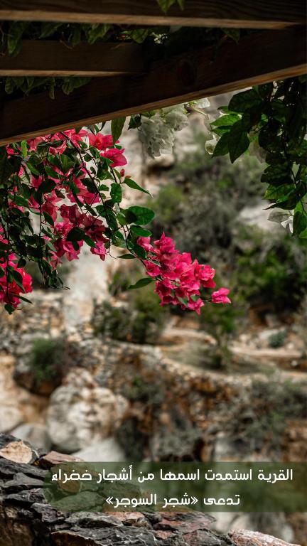 Fotografie z fotogalerie ubytování the suwgra-Al-Jabal Al-Akdar v destinaci Sūkirah