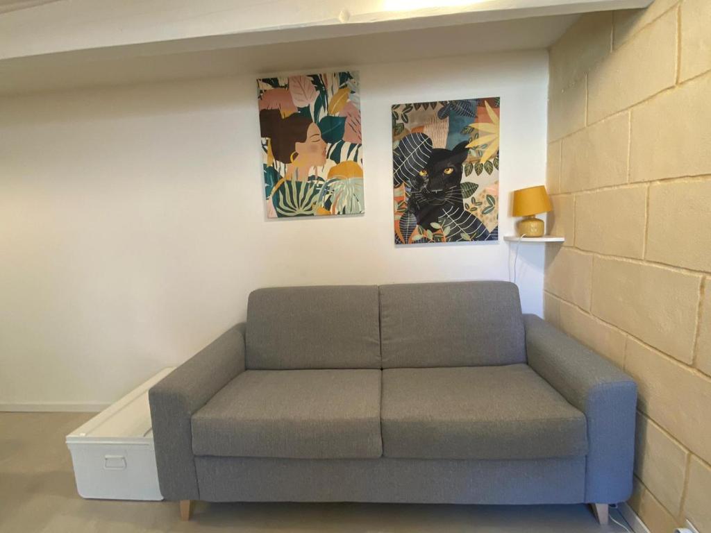 a couch in a room with two pictures on the wall at Cosy Green - WIFI HD - NETFLIX GRATUIT in Avignon