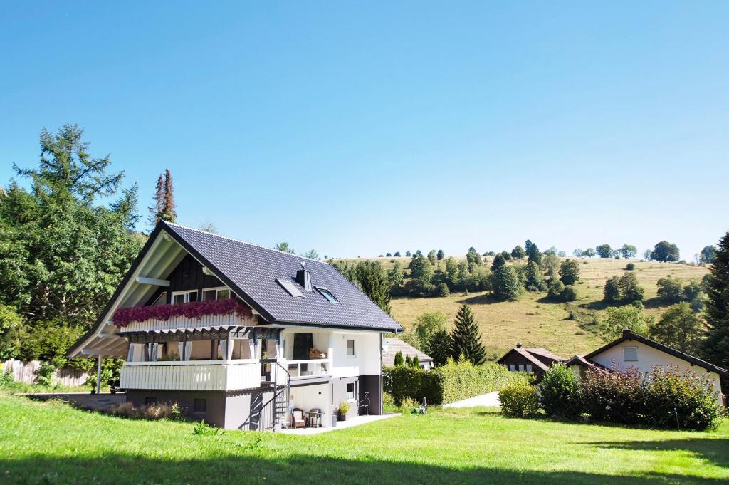 una casa en una colina con césped verde y árboles en Schwarzwaldperle en Todtmoos