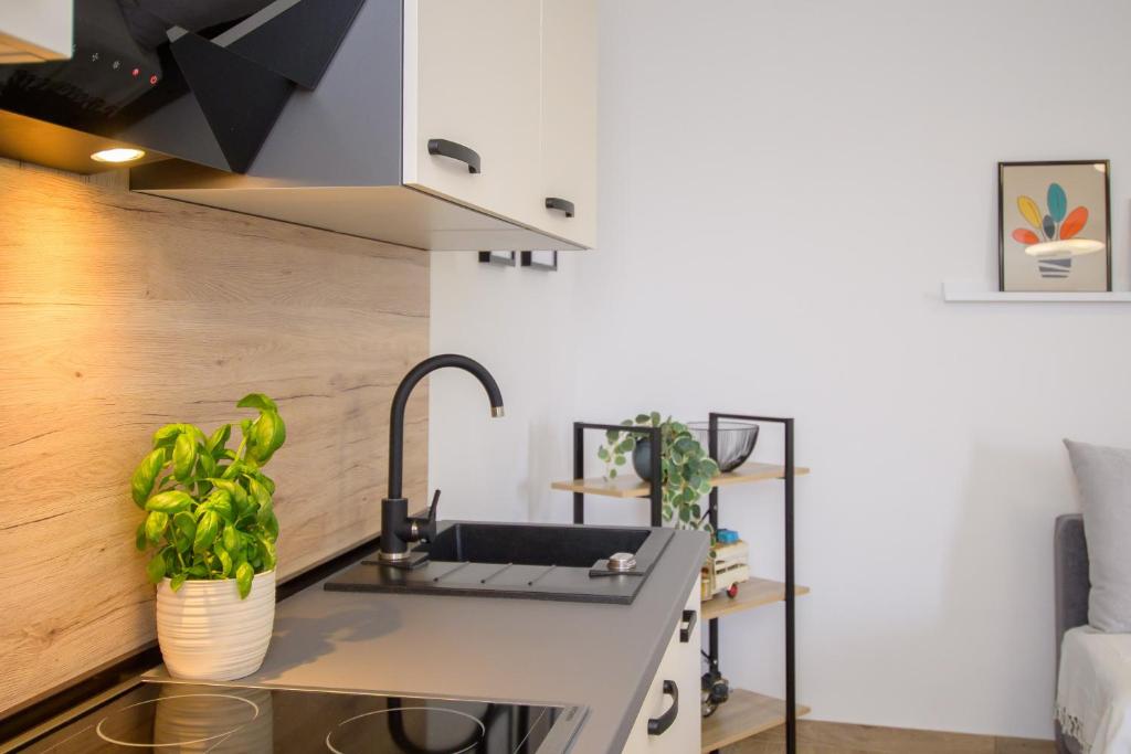 Apartments & Rooms Darrer - Apartamento Superior De 1 Dormitorio