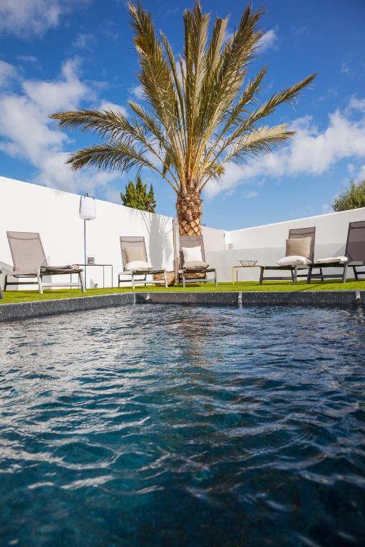 une piscine avec des chaises et un palmier à côté de l'eau dans l'établissement Villa Ernie, à Saint-Martin-de-Ré