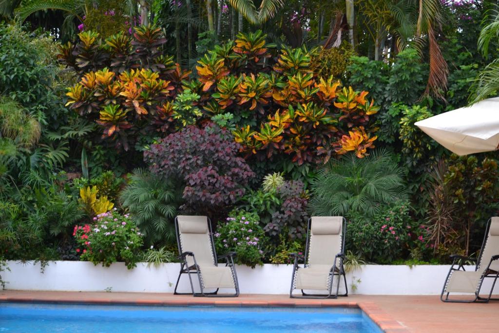 a wall of plants and chairs next to a swimming pool at Eden Atenas Costa Rica in Atenas