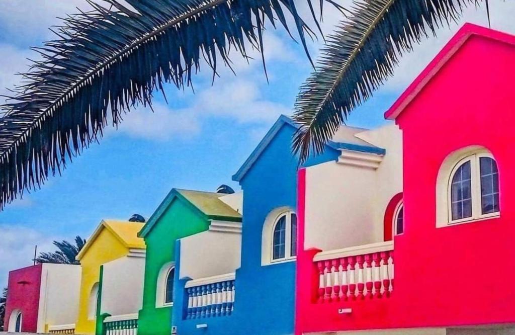 a row of colorful houses with a palm tree at Galera Beach Boutique Art Villas with Private Pools, Free Wifi & BBQ, Corralejo by Amazzzing Travel in Corralejo