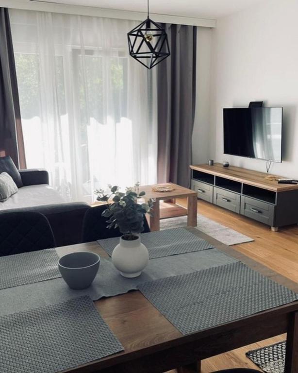 a living room with a coffee table and a tv at Gray apartman in Vrnjačka Banja