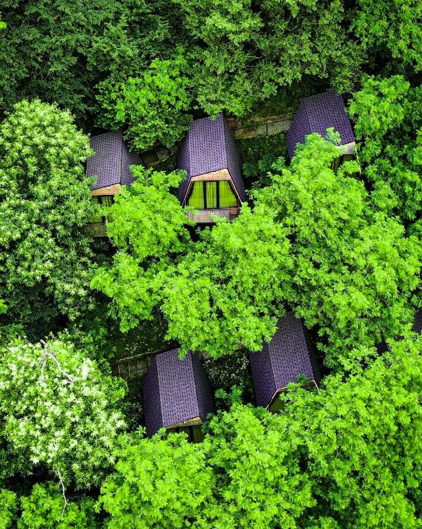 an overhead view of a group of cars in trees at Porto Gumati in Kutaisi