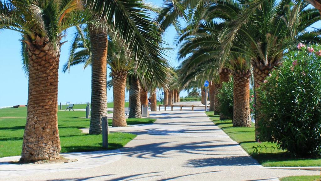 un marciapiede fiancheggiato da palme accanto a un parco di delizioso appartamento a San Benedetto del Tronto