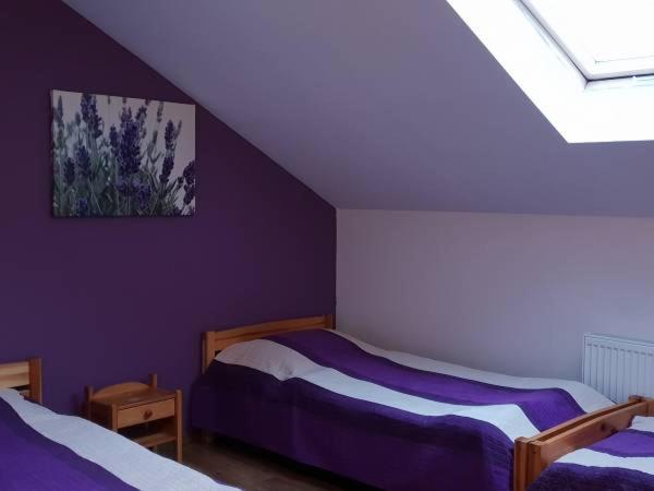 a bedroom with two beds with purple walls at Amla 