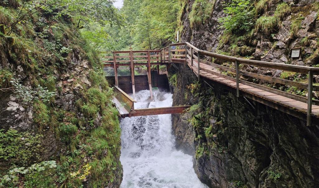 Príroda v okolí apartmánu