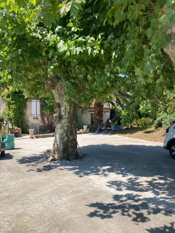uma grande árvore no meio de um parque de estacionamento em Chambre d'hôtes Maison des 5 Fleurs em Heugas