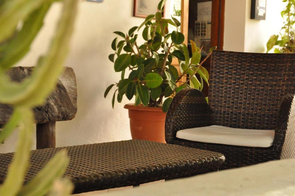 Posezení v ubytování Albergo Seaside