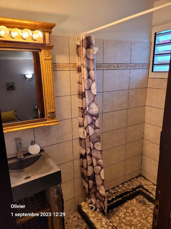 bagno con doccia, lavandino e specchio di ENTRE DEUX HOTES a Entre-Deux