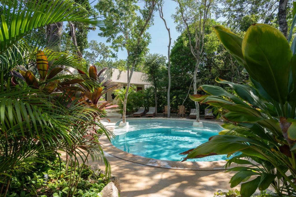 a swimming pool in a yard with trees at Suites at TreeTops Tulum in Tulum