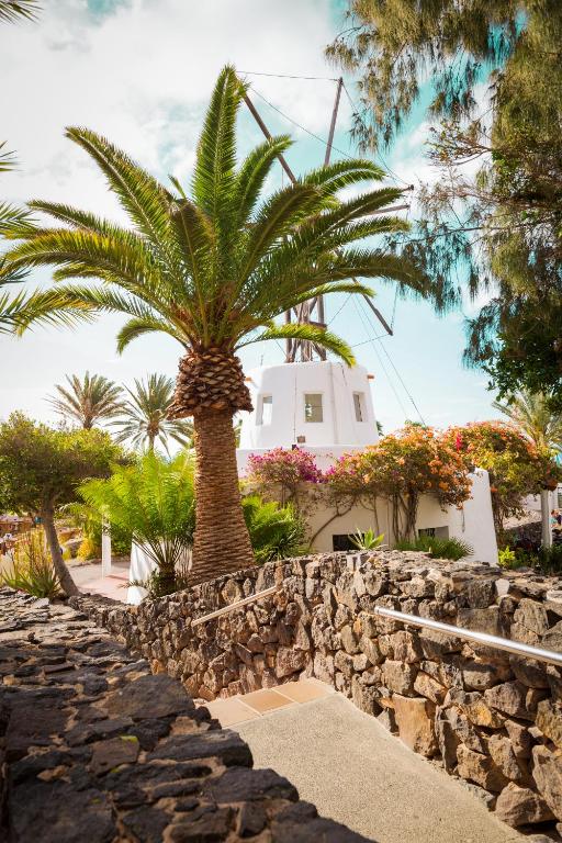 a palm tree in front of a stone wall at ROBINSON ESQUINZO PLAYA - All Inclusive in Morro del Jable