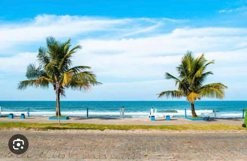 duas palmeiras numa praia com o oceano em Casa Praia&Ferias 300 metros Praia da Enseada em São Francisco do Sul