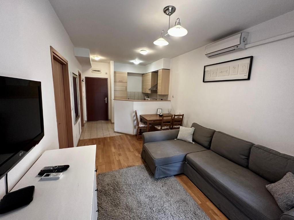 Televízia a/alebo spoločenská miestnosť v ubytovaní Leda Apartments