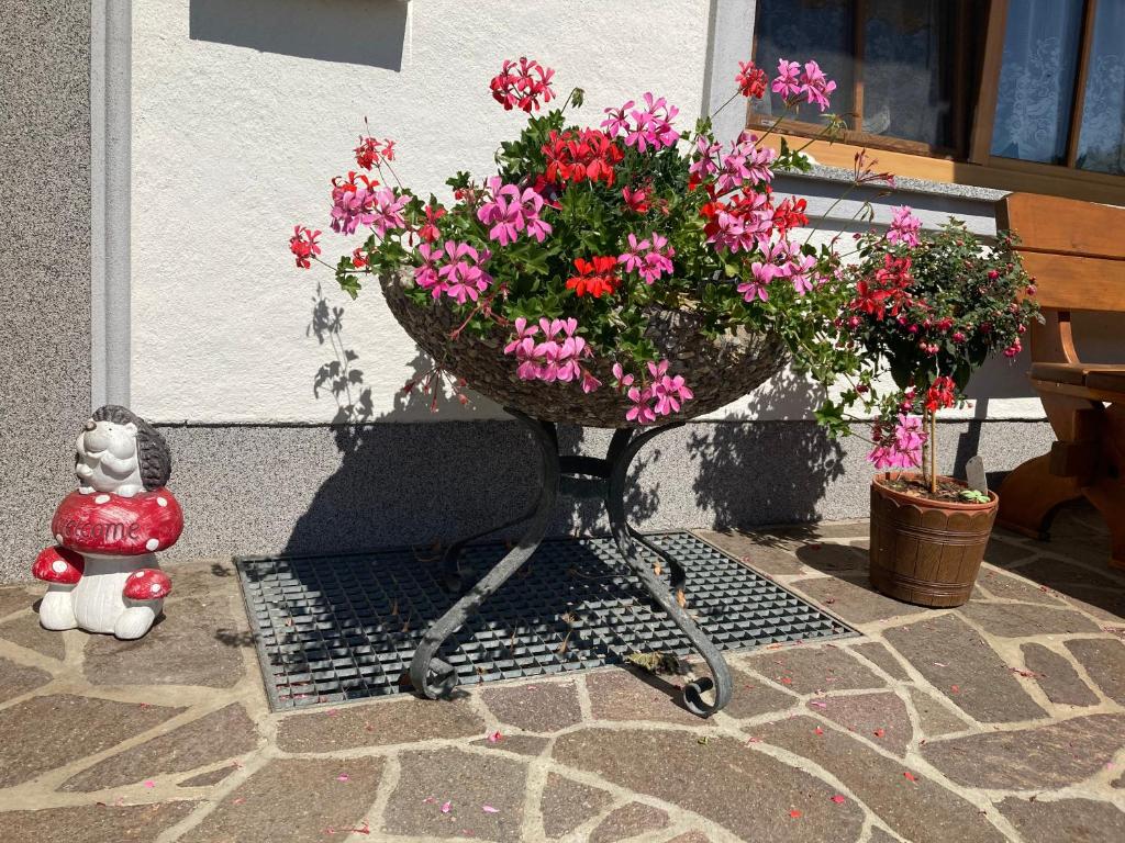 Fotografie z fotogalerie ubytování Biohof-Feichtinger v destinaci Zell am Moos