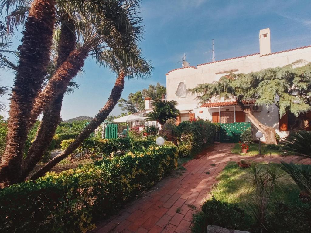 uma casa com palmeiras e uma entrada de tijolos em Casa Sonia em Ischia