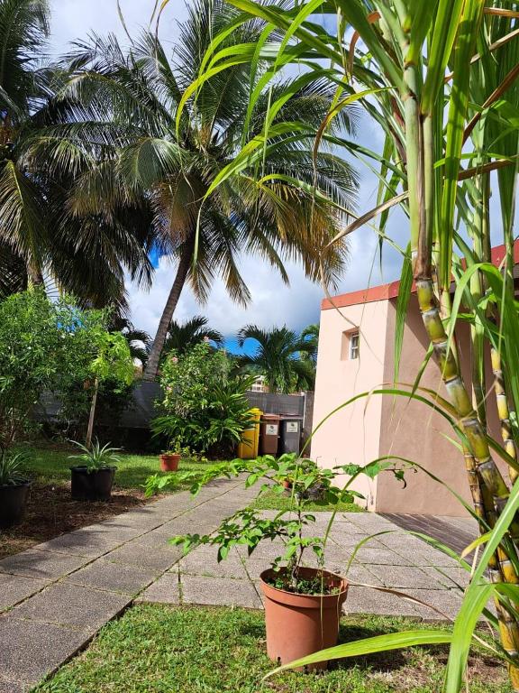 Zahrada ubytování Studio Perle de Zanzibar Trois-Ilets