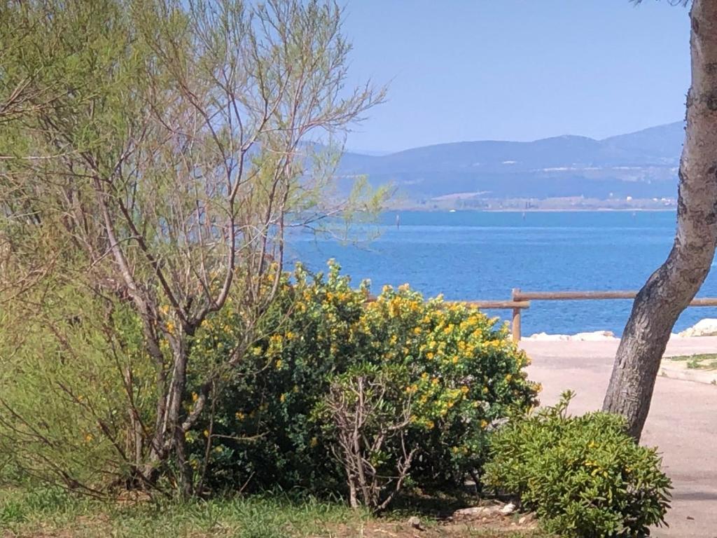 Quelques arbres et buissons près de l'océan dans l'établissement Appartement T2, 4 Couchages, Terrasse, Jardinet, Parking, Proche Commerces et Plage, Le Barcarès - FR-1-81-298, au Barcarès