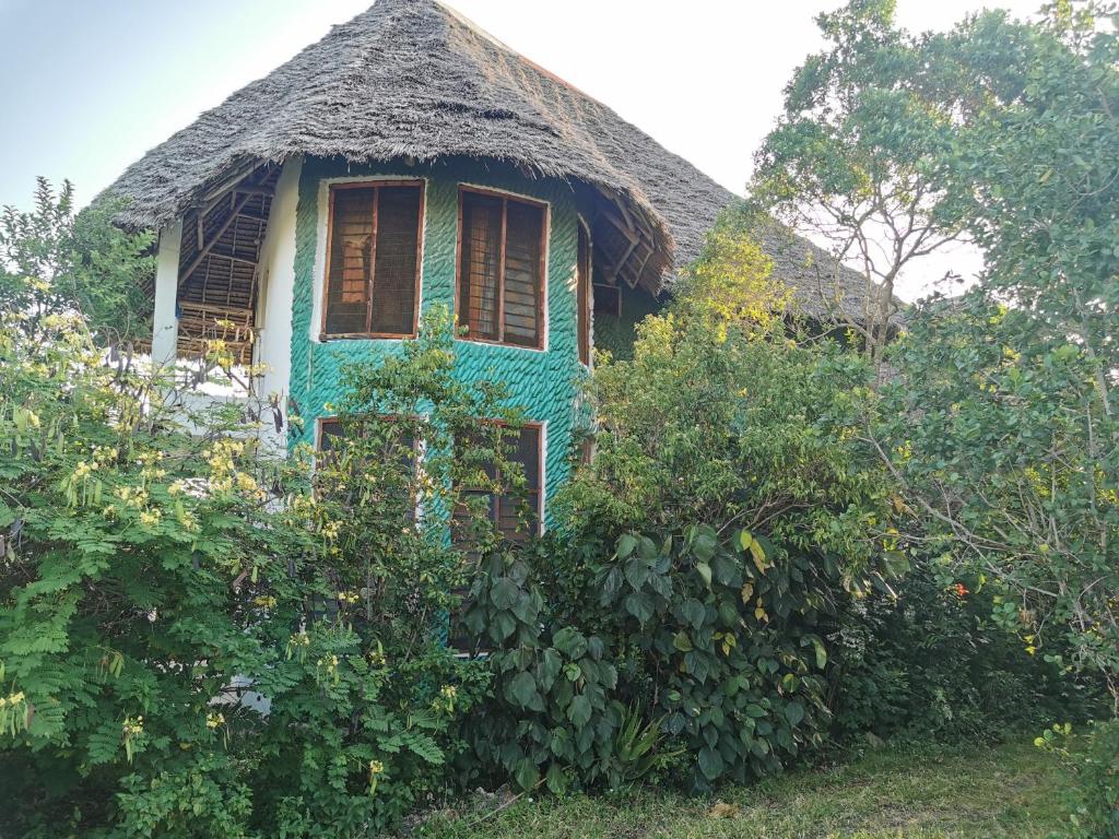 Green Garden Villa, Nungwi, Tanzania