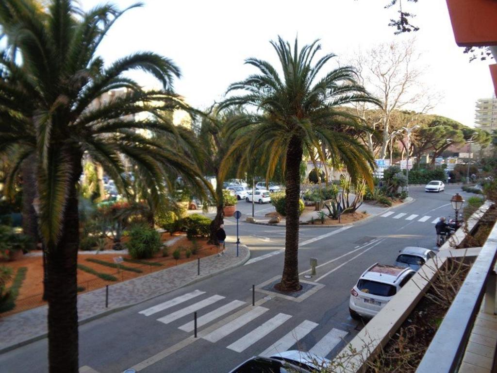 - une vue sur une rue bordée de palmiers et de voitures dans l'établissement 2 pièces climatisé avec terrasse et parking - Centre ville Le Lavandou - FR-1-308-66, au Lavandou