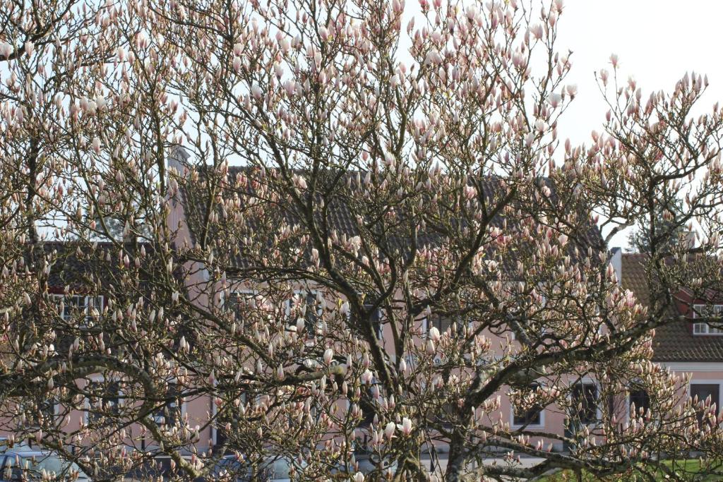 Fotografie z fotogalerie ubytování Skivarps Gästgivaregård v destinaci Skivarp