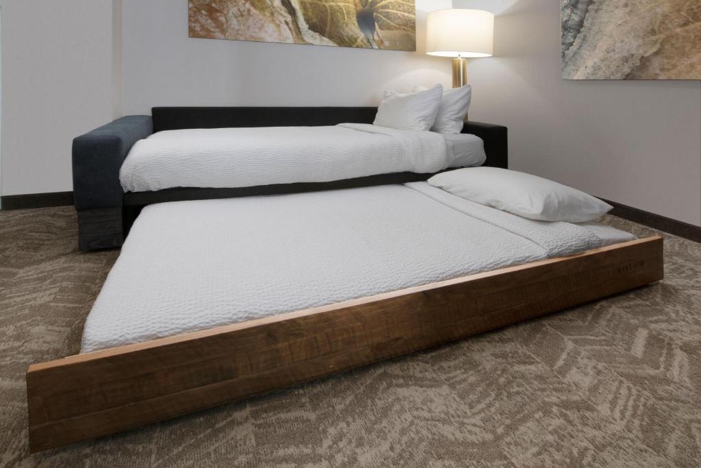 SpringHill Suites by Marriott San Angelo - Suite Lit King-Size Avec Canapé Lit Gigogne