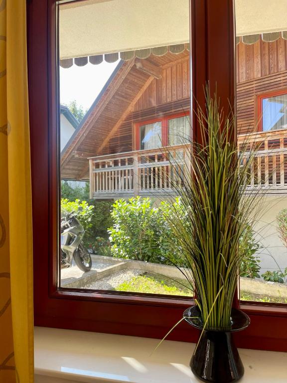 Zahrada ubytování Aparthotel Gaja