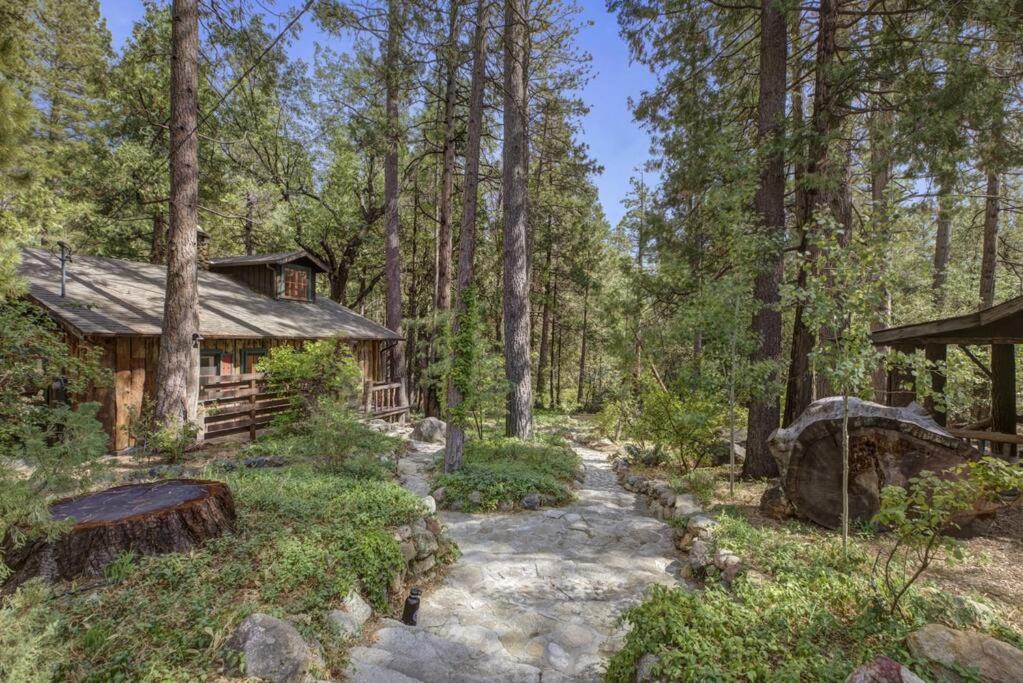 Fotografie z fotogalerie ubytování Owl Pine Cabin on Strawberry Creek v destinaci Idyllwild