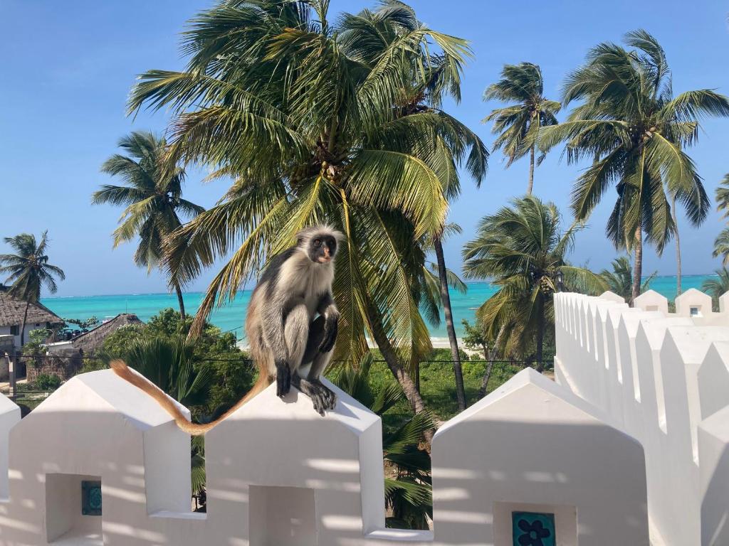 a monkey sitting on a white fence in front of a palm tree at Kholle Villa in Jambiani