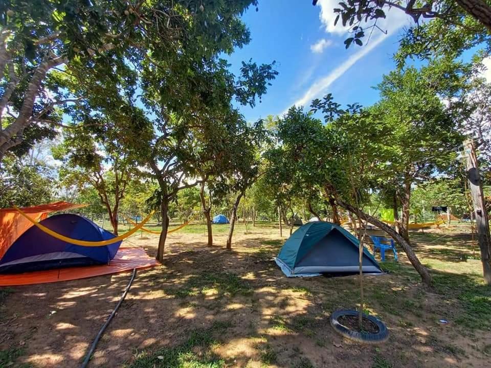 two tents in a field under trees at Camping e Balneário Rio dos Bugres in Porcas