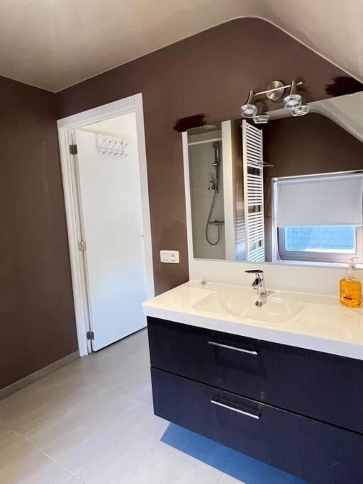 ein Bad mit einem Waschbecken und einem Spiegel in der Unterkunft Alexa Residence - Appartement 2 in Roeselare